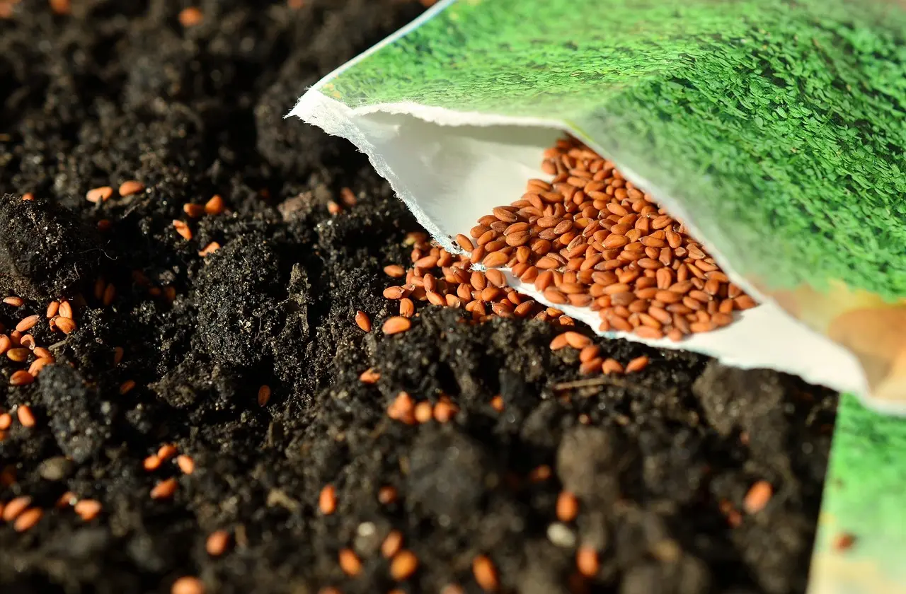 ஹாலிம் விதைகள் (Halim Seeds) சாப்பிட்டால் என்ன ஆகும்? முழு ஆரோக்கிய நன