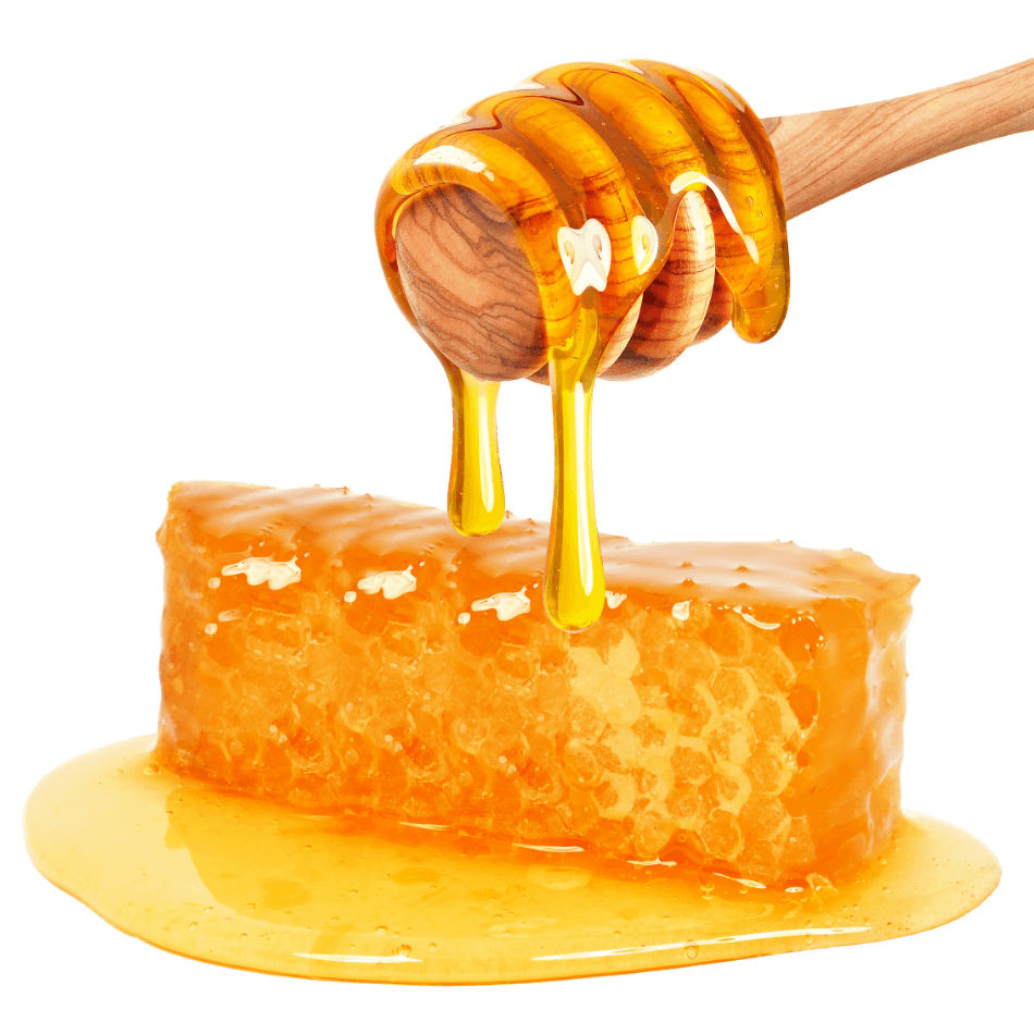 HONEY (தேன்)